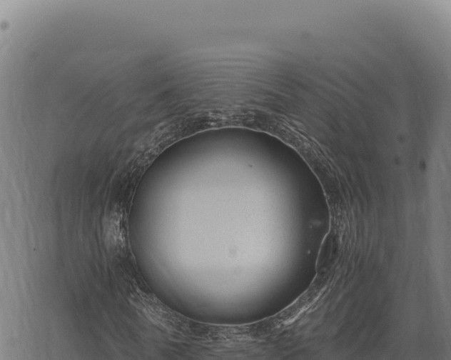 X0000068830770200605121340