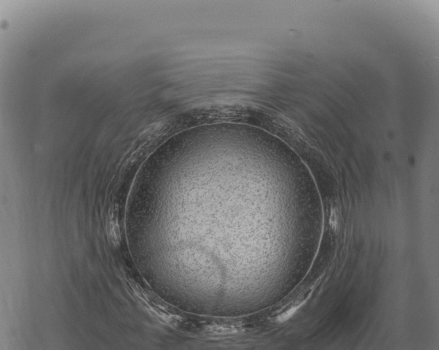 X0000068830771200605121340