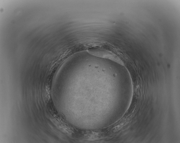 X0000068830772200605121340