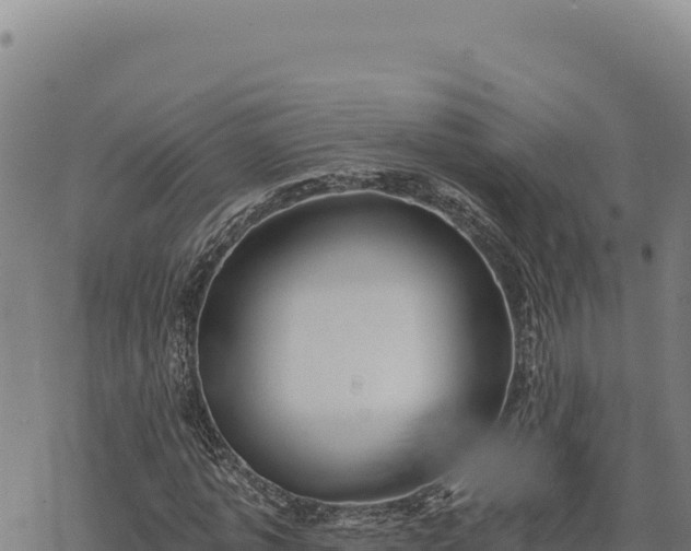 X0000068830773200605121340