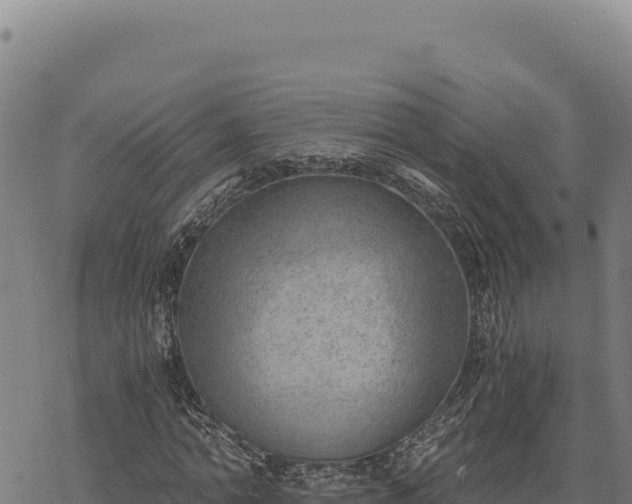 X0000068830774200605121340