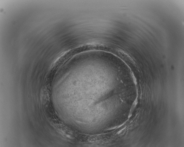 X0000068830776200605121340