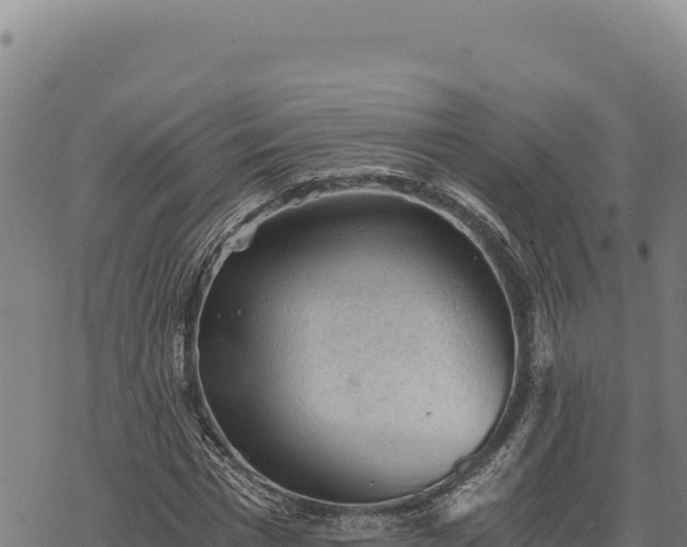 X0000068830777200605121340