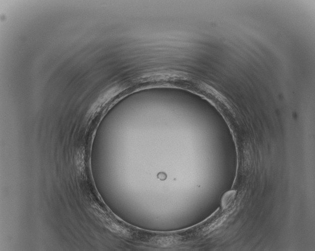 X0000068830778200605121340