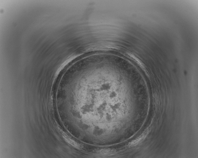 X0000068830779200605121340