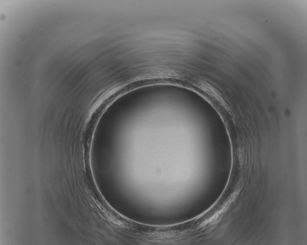 X0000068830781200605121340