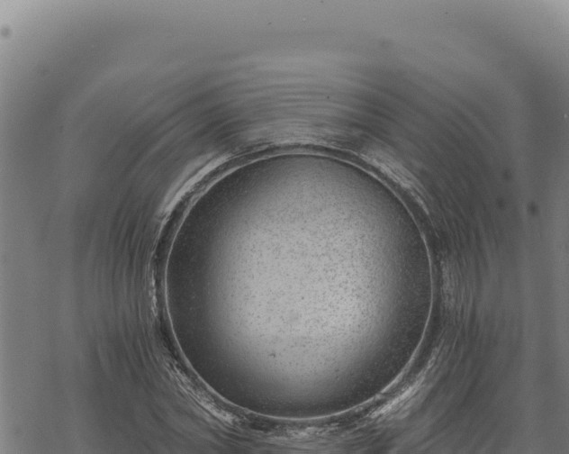 X0000068830782200605121340