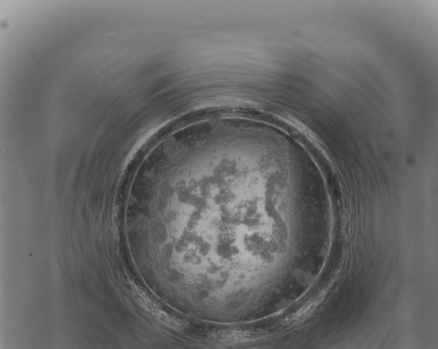 X0000068830783200605121340