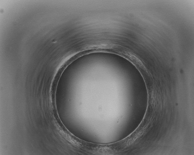 X0000068830784200605121340