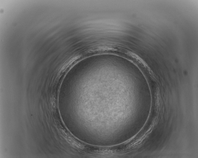 X0000068830785200605121340