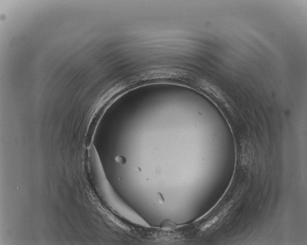 X0000068830786200605121340