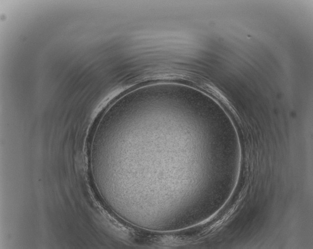 X0000068830787200605121340