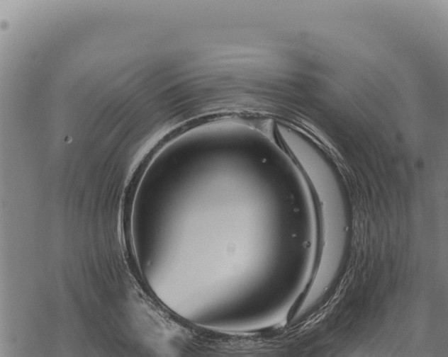 X0000068830788200605121340