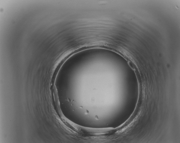 X0000068830789200605121340