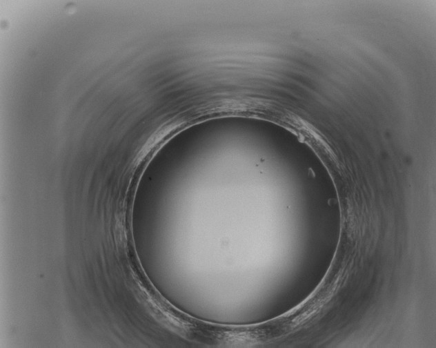 X0000068830794200605121340