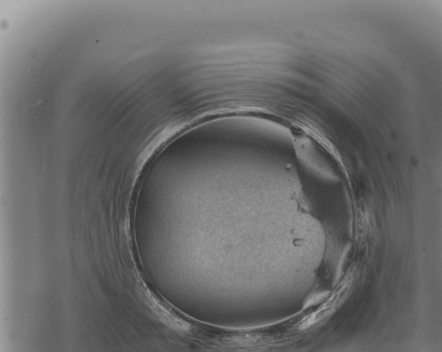 X0000068830797200605121340