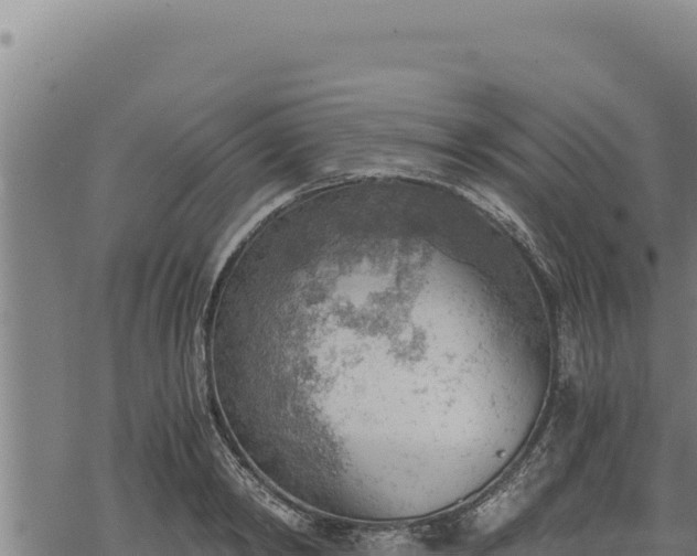 X0000068830798200605121340