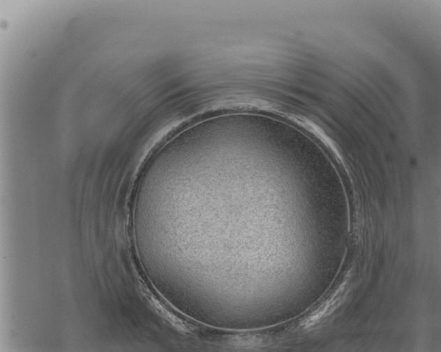 X0000068830799200605121340