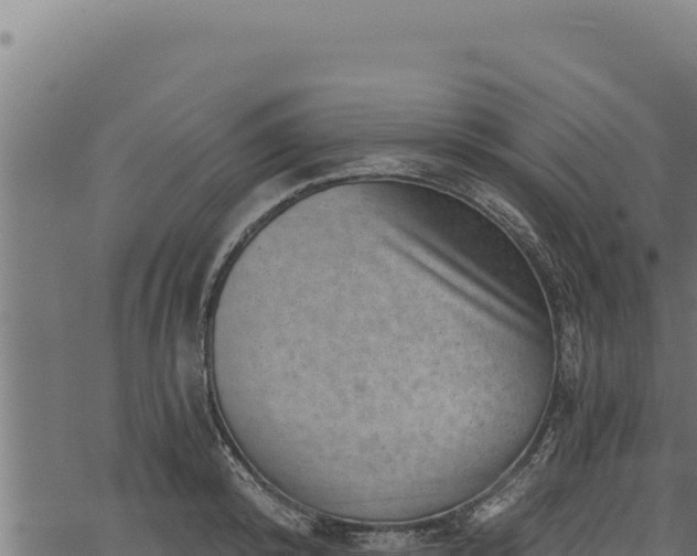 X0000068830800200605121340