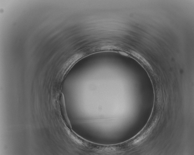 X0000068830801200605121340