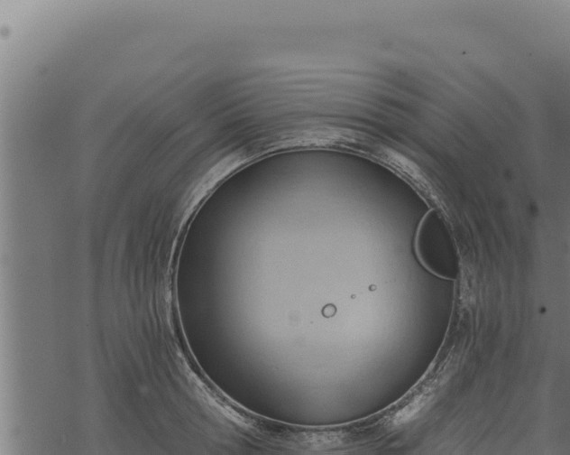 X0000068830802200605121340