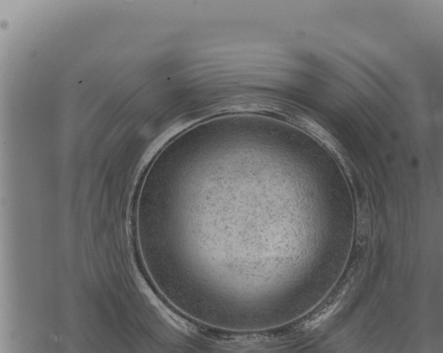 X0000068830803200605121340