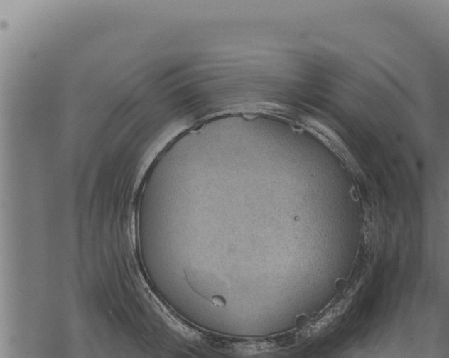 X0000068830804200605121340