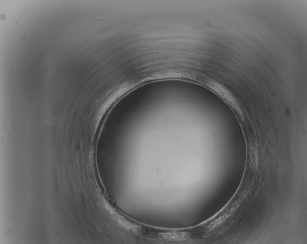 X0000068830805200605121340