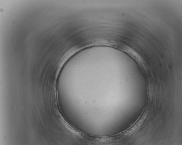 X0000068830808200605121339