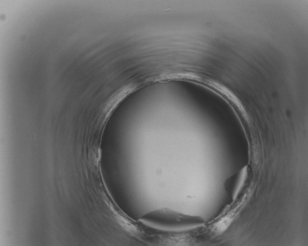 X0000068830809200605121339