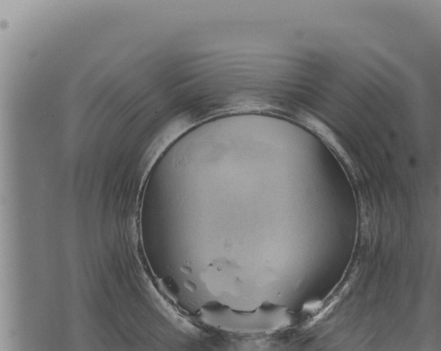 X0000068830810200605121339