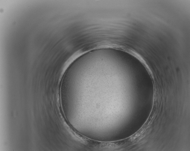 X0000068830811200605121339