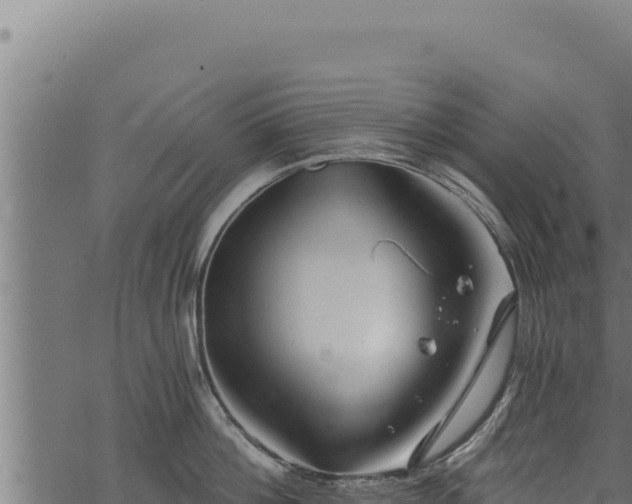 X0000068830812200605121339