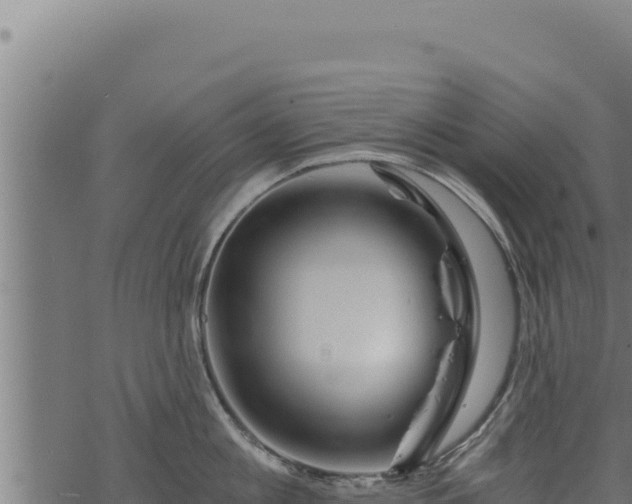 X0000068830813200605121339