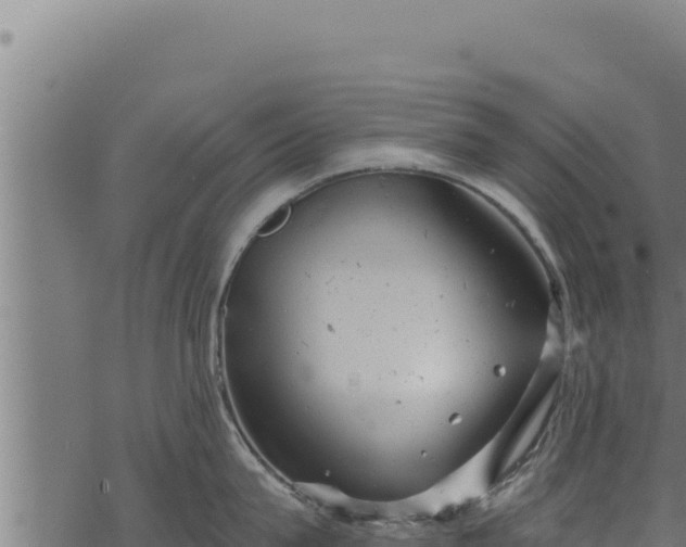 X0000068830815200605121339