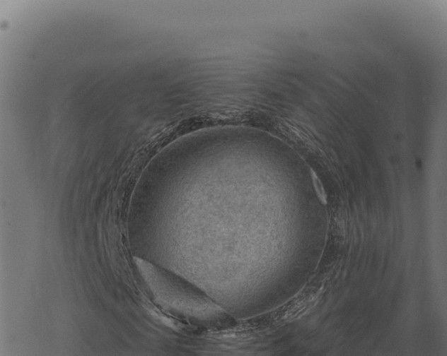 X0000068830817200605121339