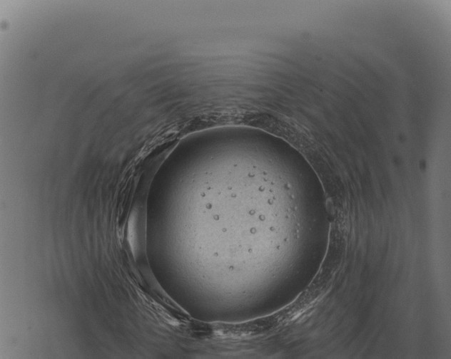 X0000068830818200605121339