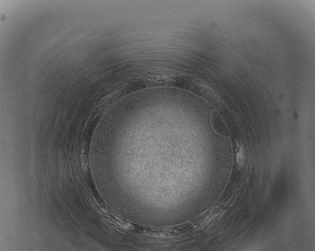 X0000068830819200605121339