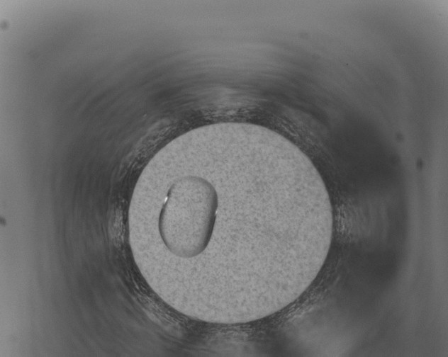 X0000068830820200605121339