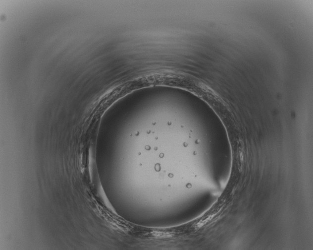 X0000068830822200605121339