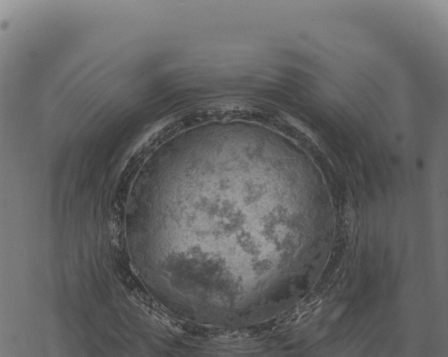 X0000068830823200605121339