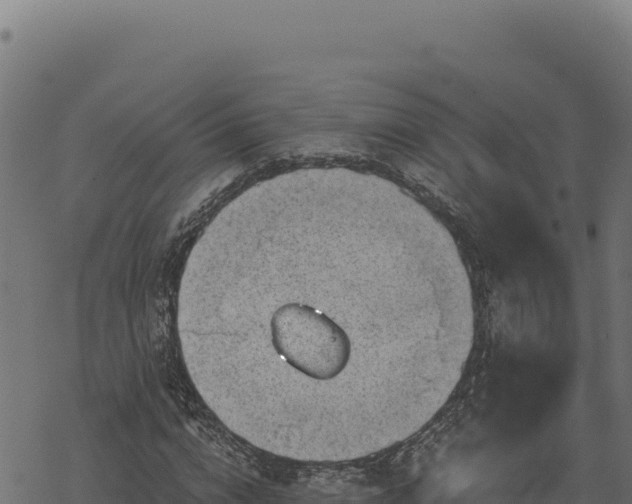 X0000068830824200605121339