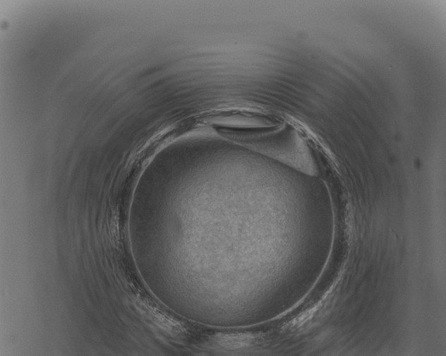 X0000068830825200605121339