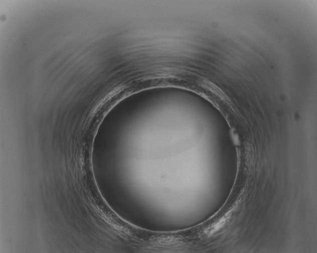 X0000068830826200605121339