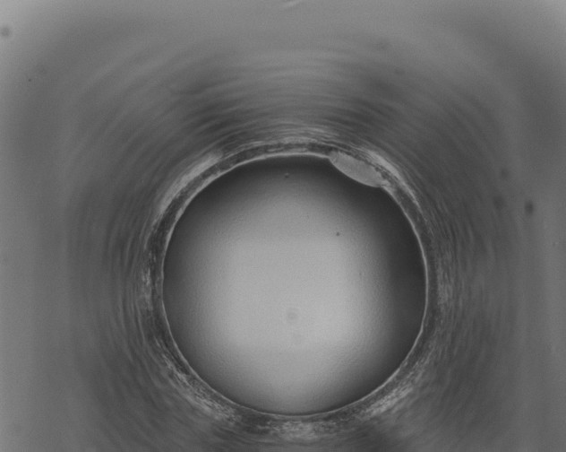 X0000068830827200605121339