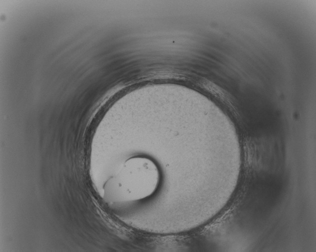 X0000068830828200605121339