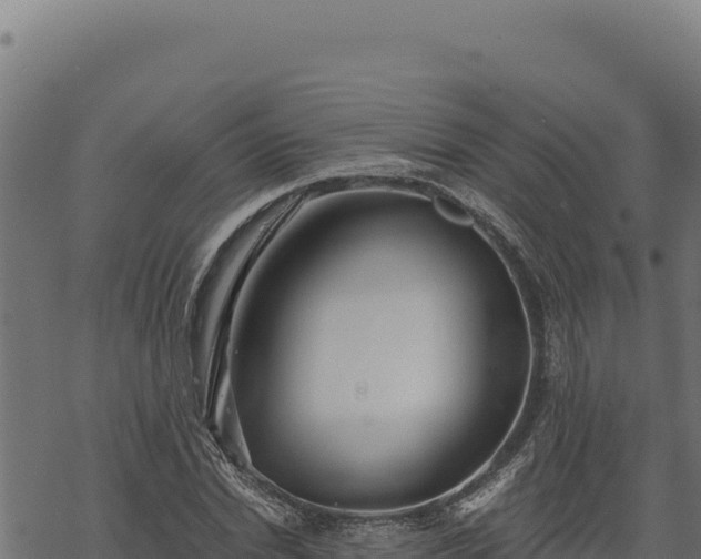 X0000068830830200605121339