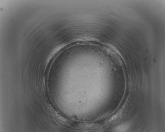 X0000068830831200605121339