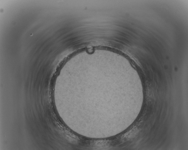 X0000068830832200605121339