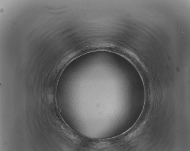 X0000068830833200605121339